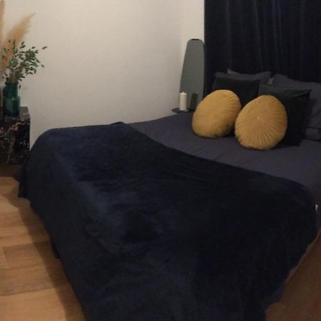 Appartement Moderne Renove Centre Ville Toulouse Exteriör bild